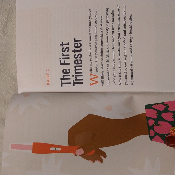 The First Time Pregnancy Handbook - Picture 6 of 9